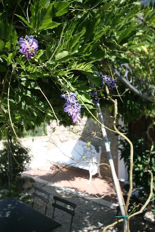 Le Coste Casa Vacanze Holiday home Scarlino